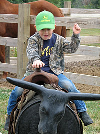 Kids love to visit Appleberry Orchard play area and petting farm while mom and dad love the fresh, homemade pies and breads in the farm market, at Appleberry Orchard in Donnellson, Iowa. 