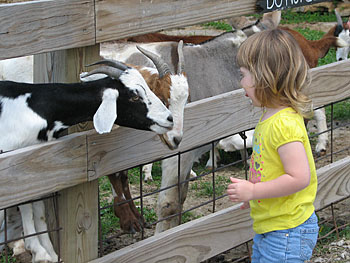 Educational school tours include a visit to the petting farm, the play area, and a wagon ride through the apple orchard and the berry fields, at Appleberry Farm in Donnellson, Iowa. 
