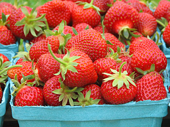 Sweet, juicy red strawberries, fresh blueberries, raspberries and blackberries, delicious crunchy apples, and homemade bread, pies, and cookies are all available from Appleberry Orchard at the Montrose and Ft. Madison farmers market. 
