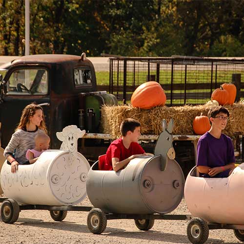 Give your child a birthday party on the farm at Appleberry Orchards in Donnellson, Iowa.