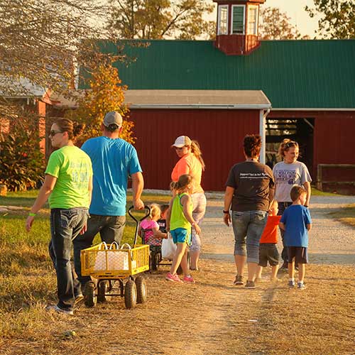 Check out the employment opportunities at Appleberry Orchards, in Donnellson, Iowa.  We have lots of fun jobs on the farm!